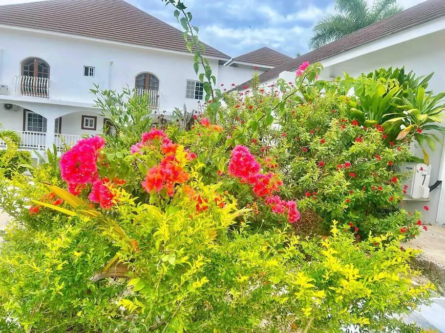 モンテゴ・ベイCharming Sea View Townhouseアパートメント モンテゴ・ベイ